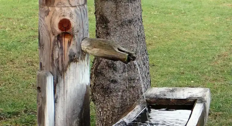 Rustic wooden spout feeding water into a trough in a grassy yard, illustrating a traditional trough watering setup.