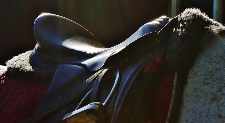 Close-up of a leather saddle on a horse