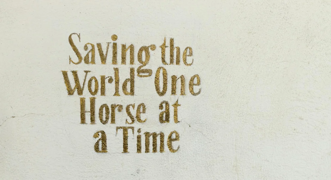 Graphic text that reads 'Saving the World One Horse at a Time' in vintage-styled gold letters on a light background.