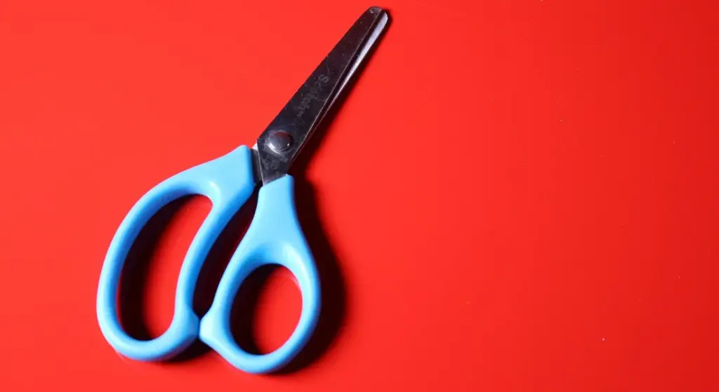 Top Products for Disinfecting Grooming Tools: Keep Your Barn Healthy