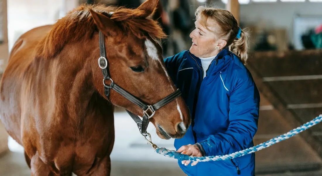 A person in a blue jacket stands beside a brown horse wearing a halter inside a stable.