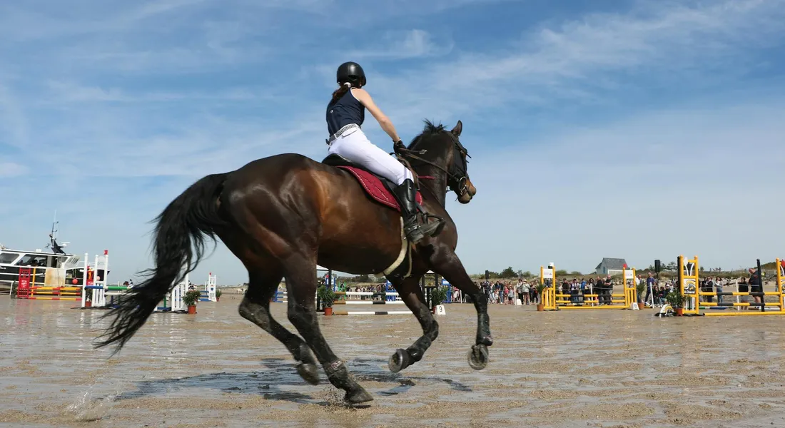 A rider wearing a helmet guides a dark horse over an obstacle in an outdoor show jumping arena; blue sky and other jumps visible in the background.