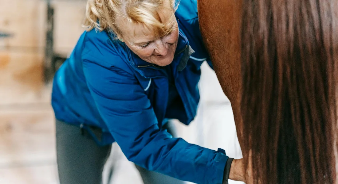 Caregiver in a blue jacket tending to a horse in a stable, demonstrating hands-on barn care.