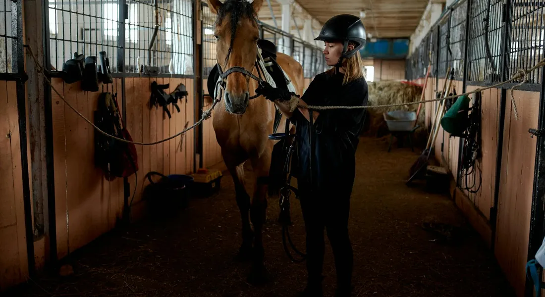 A rider wearing a helmet stands beside a horse in a stable aisle, holding the horse's lead rope.