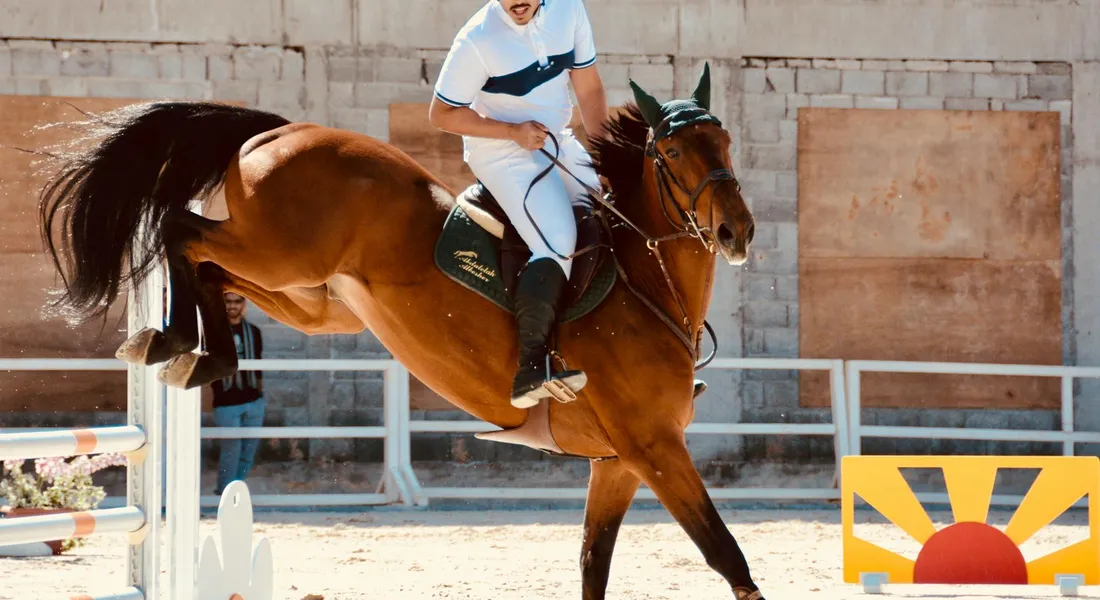 Chestnut horse and rider mid-jump over a barrier in an arena, showcasing powerful movement guided by patient training.