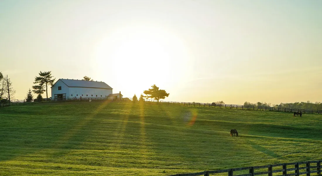 Pasture at sunset with a barn on the left and a few horses grazing, sun rays sweeping across the green field.