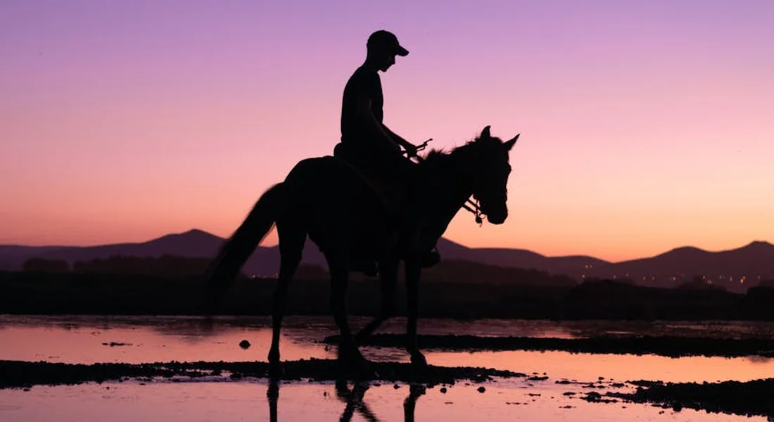Silhouette of an adult rider on a horse walking in shallow water at sunset