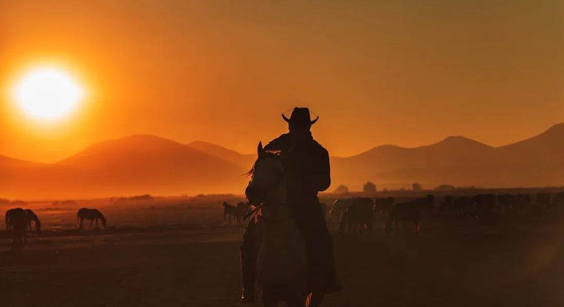 Silhouette of a rider on a horse at sunset with distant hills and other horses in the background