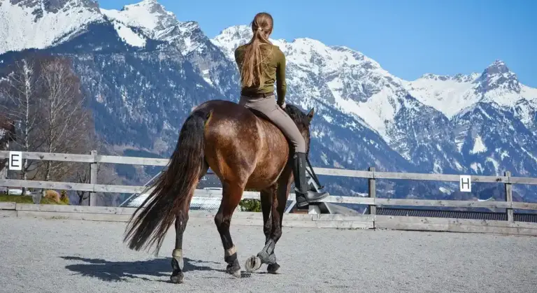 Rider on a brown horse in an outdoor arena with snow-capped mountains in the background.