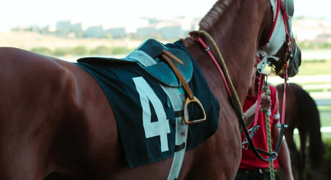 Close-up of a Thoroughbred racehorse wearing a blue saddlecloth with the number 4, with reins and bridle visible and a rider in the background.