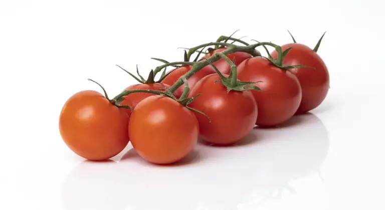 Cluster of ripe red tomatoes on a vine against a white background