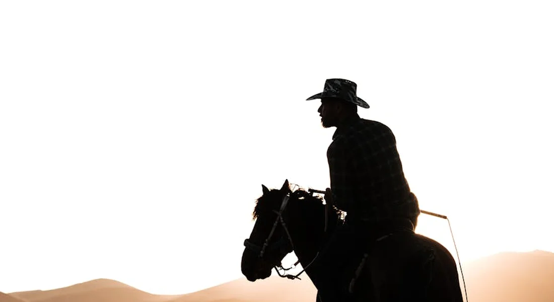 Silhouette of a rider wearing a wide-brim hat on a horse against a desert sunset