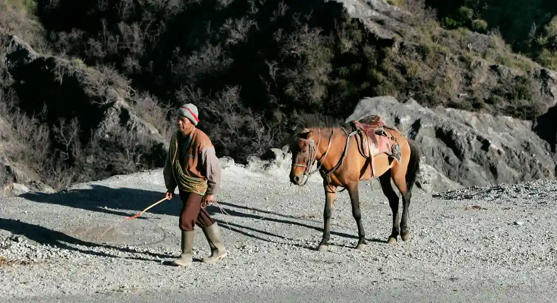 A person in outdoor clothing leads a brown horse along a rocky trail; the horse wears a saddle and bridle, with a rugged landscape in the background.