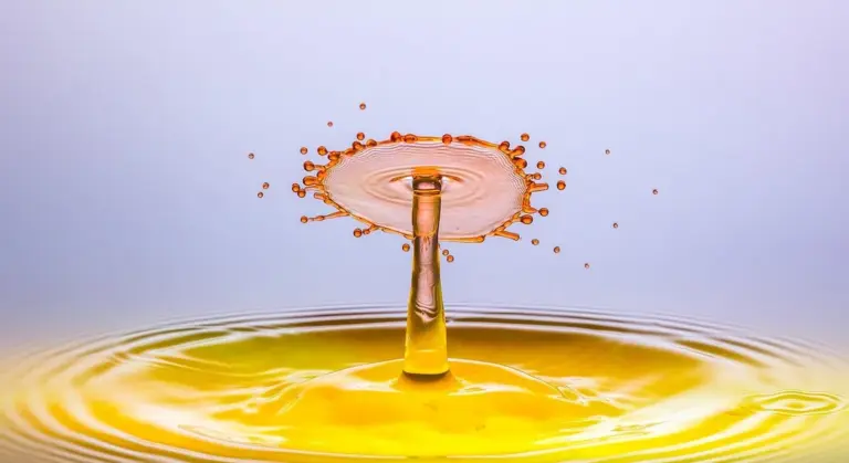 Close-up of a water droplet splash, highlighting water as a key utility on a horse property.