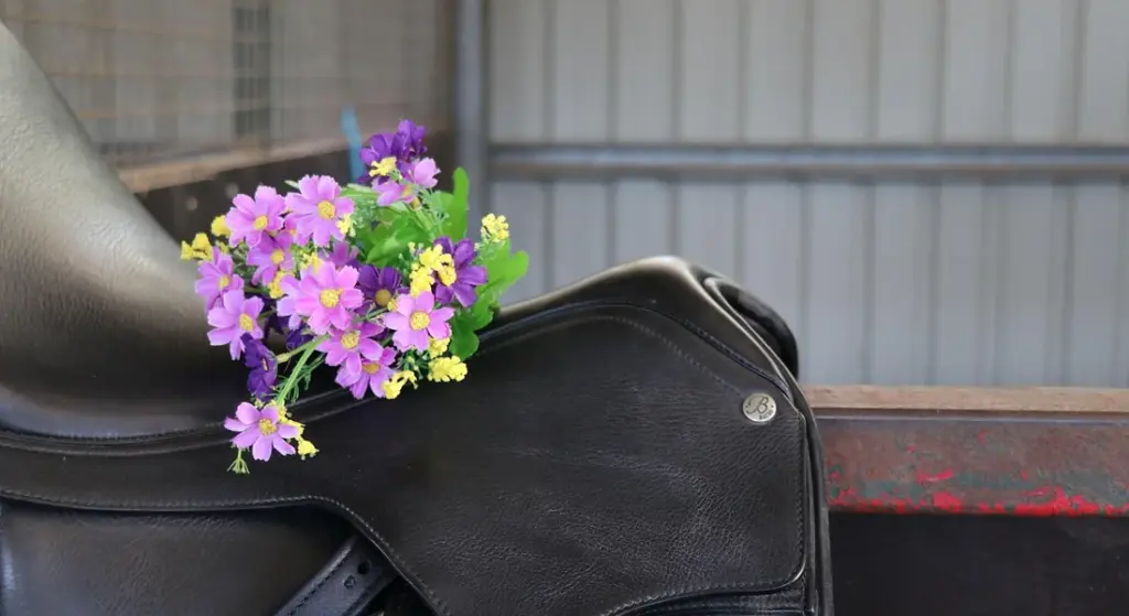 Western vs. English Riding: Choosing the Right Discipline for Your Horse and Your Goals