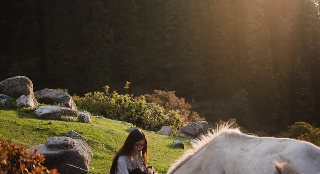 A person sits beside a white horse in a sunlit meadow with rocks and shrubs, illustrating calm daily care.