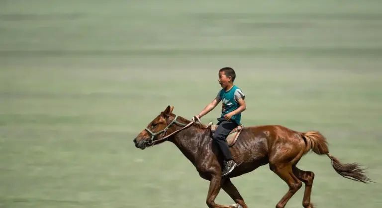 A young rider on a brown horse galloping across a wide grassy field